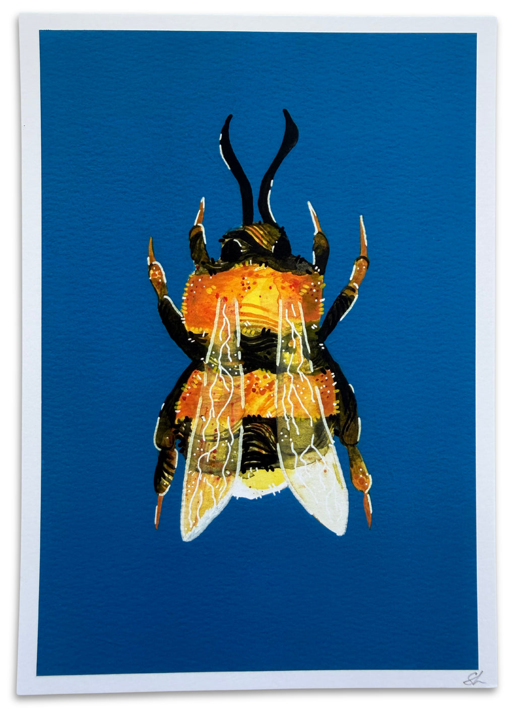 ‘Bumble’ Print