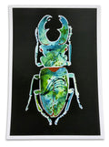 ‘Emerald’ Print